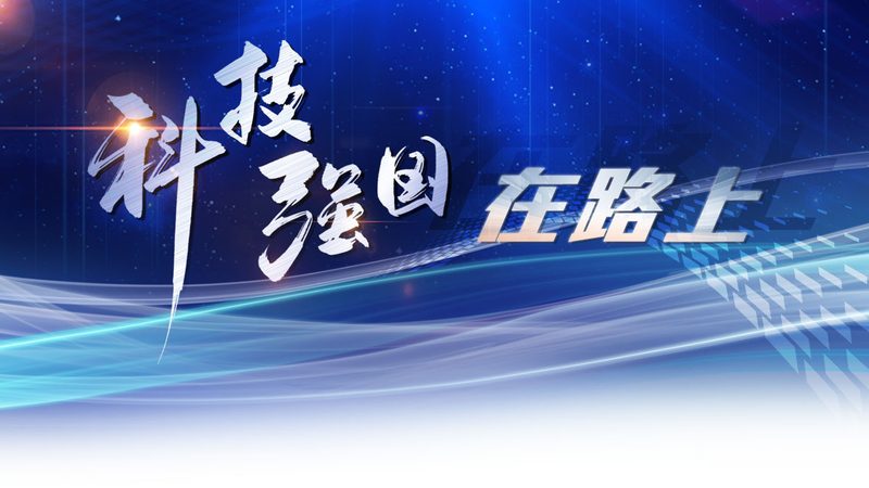 软件稳定性测试：揭秘十大品牌的背后逻辑